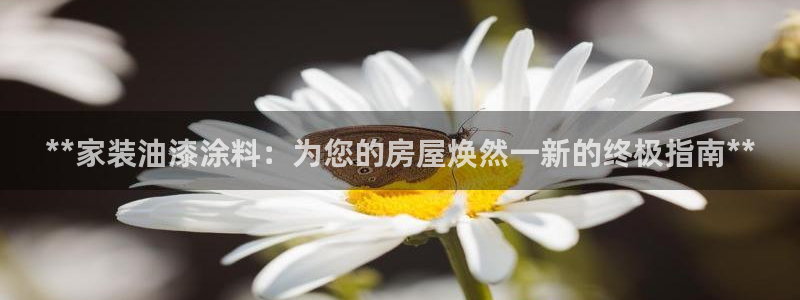 和记国际听：**家装油漆涂料：为您的房屋焕然一新的终极指南**