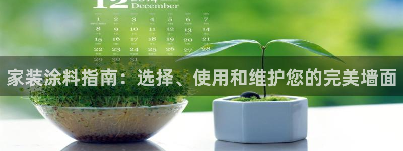 和记官网登陆：家装涂料指南：选择、使用和维护您的完美墙面