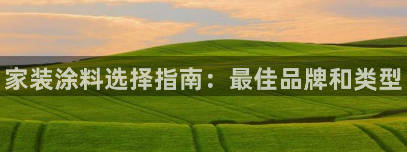 深圳和记科技有限公司：家装涂料选择指南：最佳品牌和类型