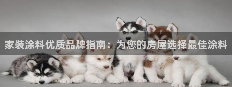 和记旗舰厅：家装涂料优质品牌指南：为您的房屋选择最佳涂料