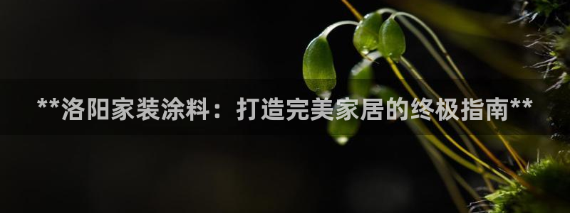 和记登陆：**洛阳家装涂料：打造完美家居的终极指南**
