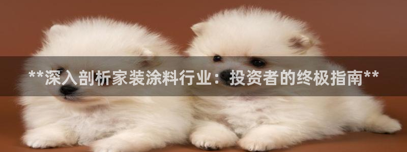 和记官网首页：**深入剖析家装涂料行业：投资者的终极指南**