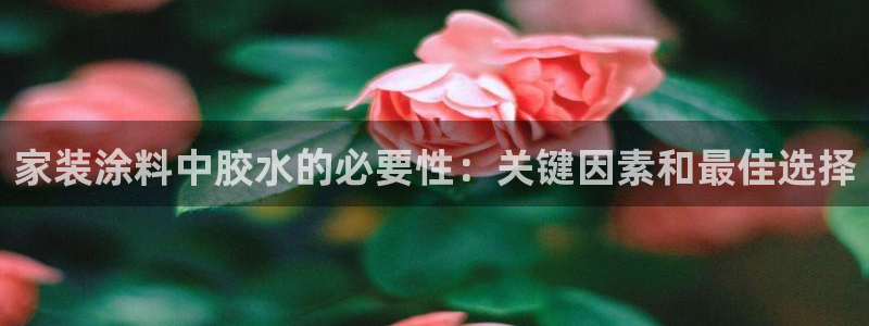 和记 中国首页：家装涂料中胶水的必要性：关键因素和最佳选择