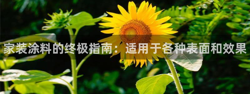 和记AG：家装涂料的终极指南：适用于各种表面和效果
