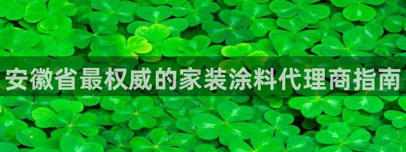 和记ag旗舰厅：安徽省最权威的家装涂料代理商指南