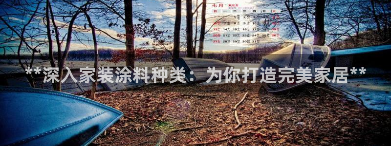 和记国际开户网站：**深入家装涂料种类：为你打造完美家居**