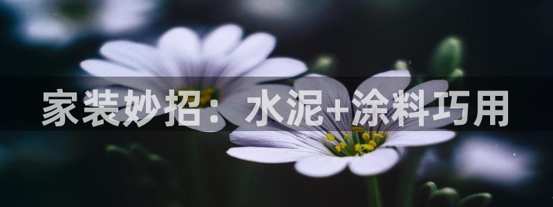 和记登陆：家装妙招：水泥+涂料巧用