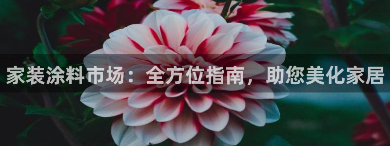 下载和记app：家装涂料市场：全方位指南，助您美化家居