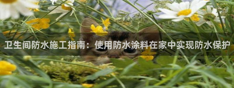 和记官网登录：卫生间防水施工指南：使用防水涂料在家中实现防水保护