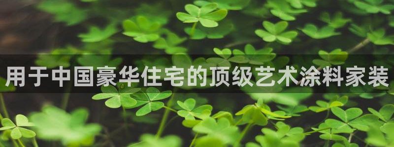 和记电业集团：用于中国豪华住宅的顶级艺术涂料家装