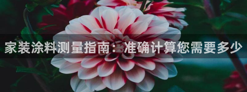 和记pc：家装涂料测量指南：准确计算您需要多少