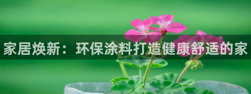 和记官网 公司：家居焕新：环保涂料打造健康舒适的家