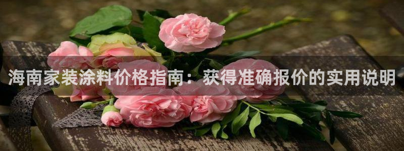 和记 首页：海南家装涂料价格指南：获得准确报价的实用说明