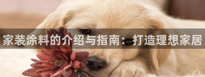 和记下载