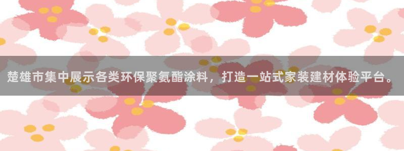 和记paging：楚雄市集中展示各类环保聚氨酯涂料，打造一站式家装建材体验平台。